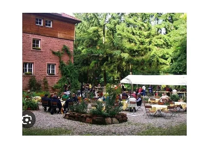 Raquet 2 Comfortable Wachenheim an der Weinstraße