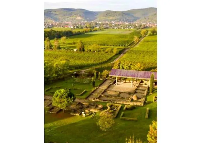 Raquet 2 Comfortable 別荘